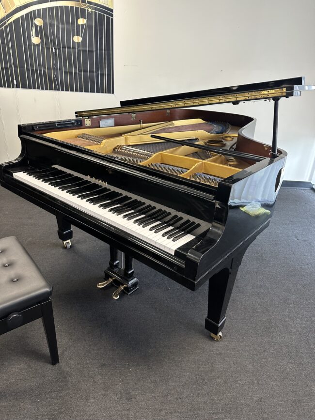 KAWAI 650